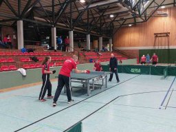 Vereinsmeisterschaften